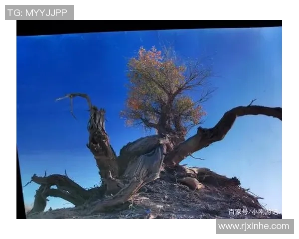 新疆足球明星的璀璨星空他们的故事与成就让人铭记