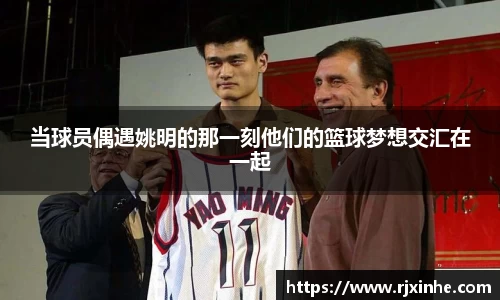 zoty中欧体育